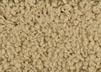 carpet2